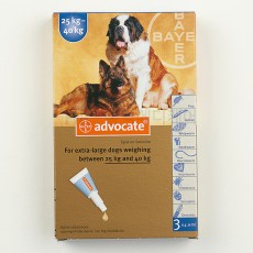 애드보킷 강아지용 대형 (25~40kg) 6EA 신포장