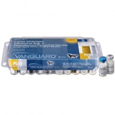 DHPP 백신 뱅가드 플러스 5