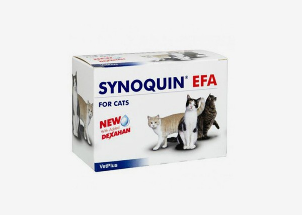 사이노퀸 캡슐 고양이용(25.9월 인상)