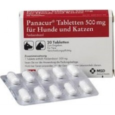 파나쿠어 정 500mg