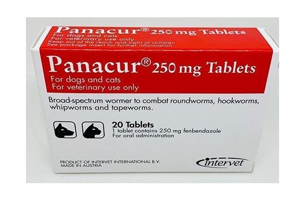 파나쿠어 정 250mg