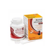 레날어드밴스 독스