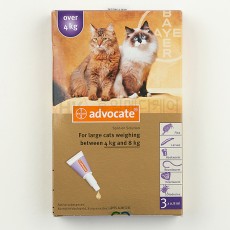 애드보킷 고양이용 대형 (4~8kg) 6EA