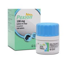 펙시온 100mg 100정