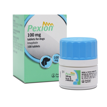 펙시온 100mg 100정